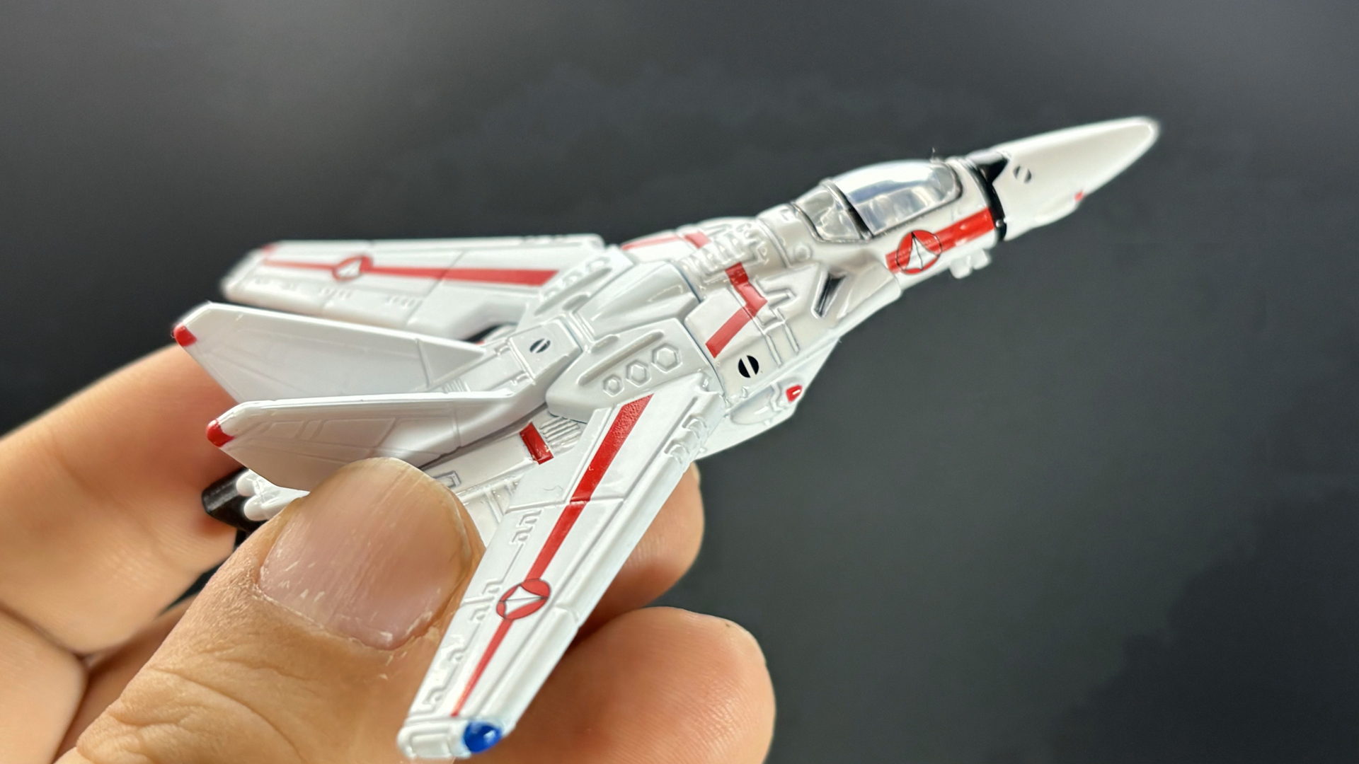 どこから見ても美しく。手に持って飛ぶ姿を想像するのも楽しい