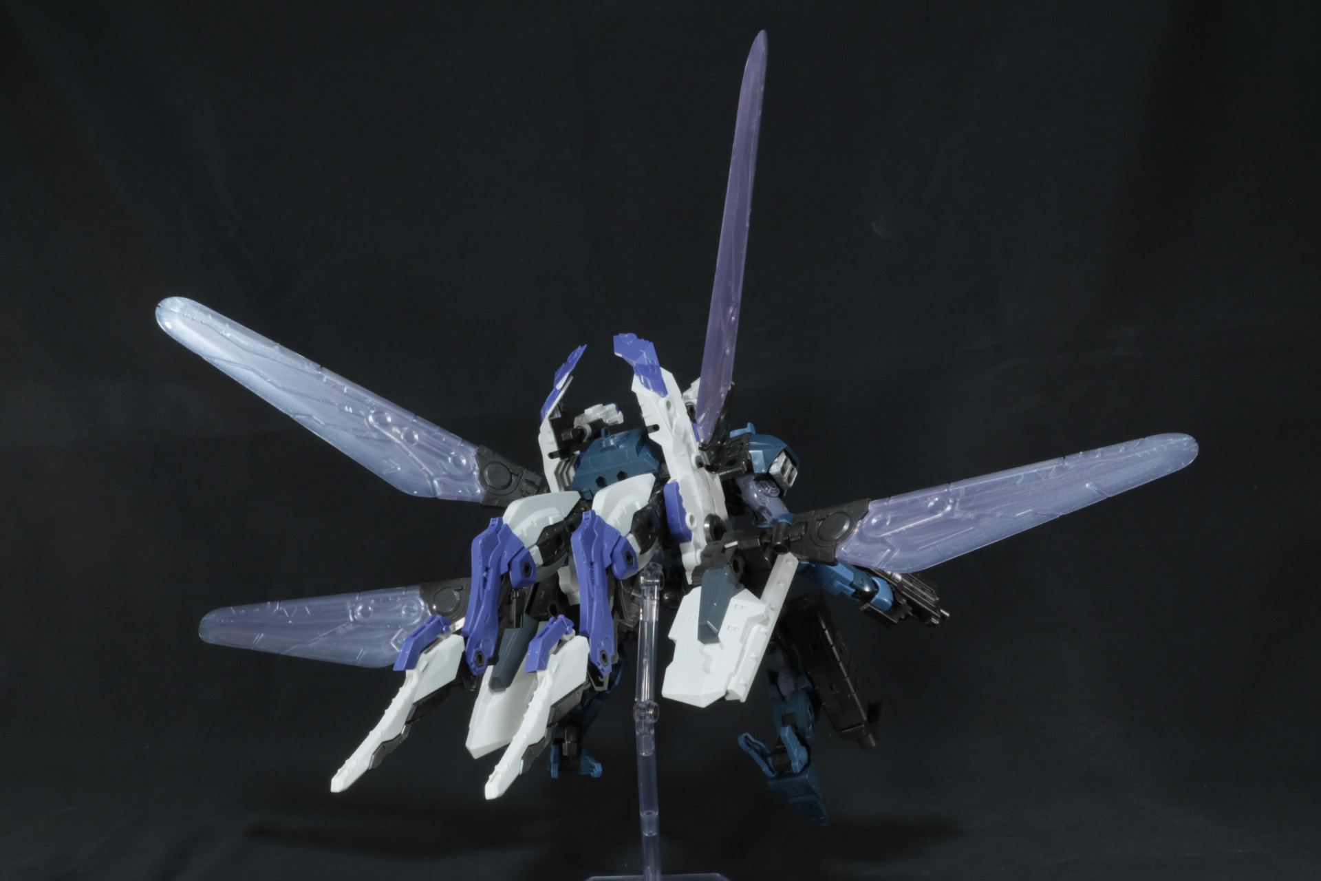 背部も飛行をイメージして厚みのあるものに