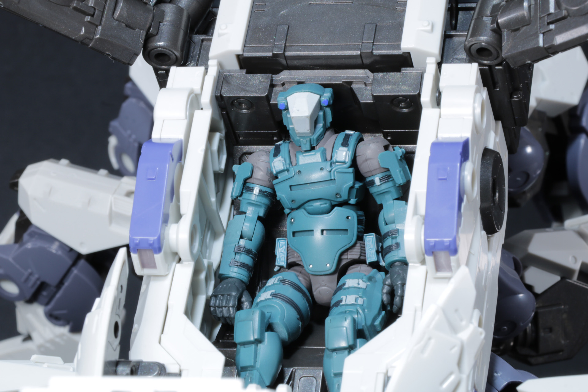 別売りのガバナーを搭乗させることができる。なお、一部のガバナーは乗せることができない