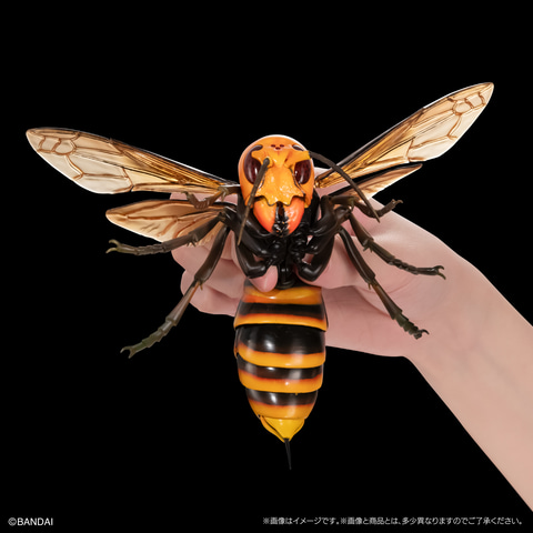 幻の蜂「メガララ・ガルーダ」がガシャポンに登場！ 「いきもの