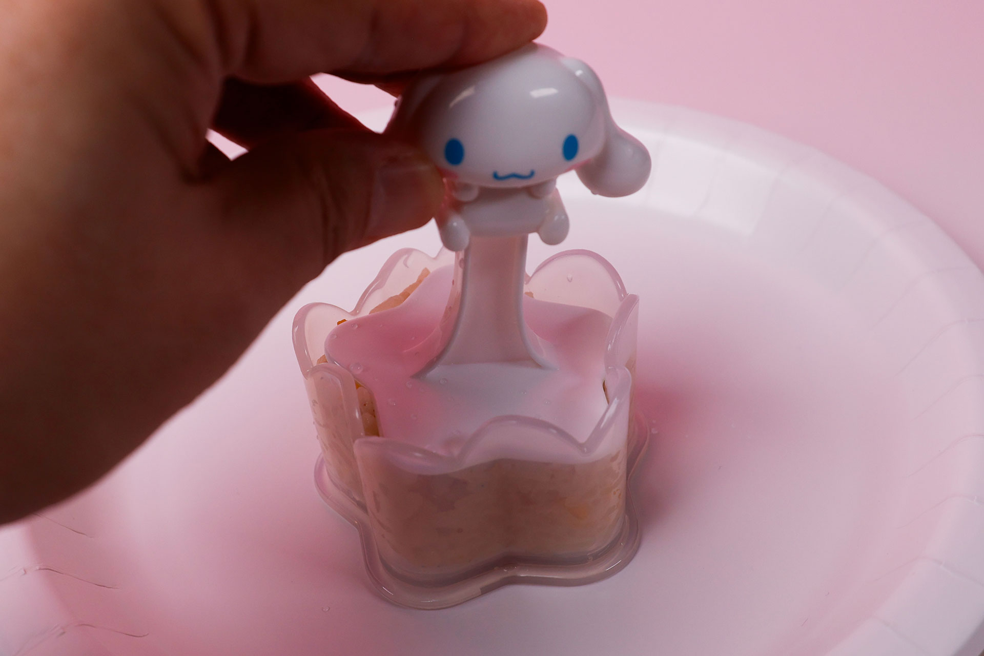 ごはんなどを入れて、ゆっくりと押し込もう