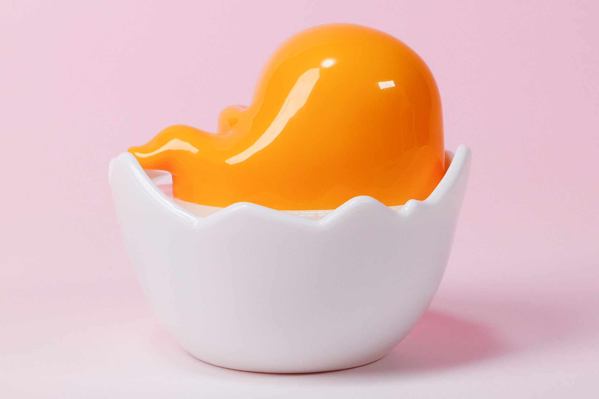 後ろ側から見てもキュートだ