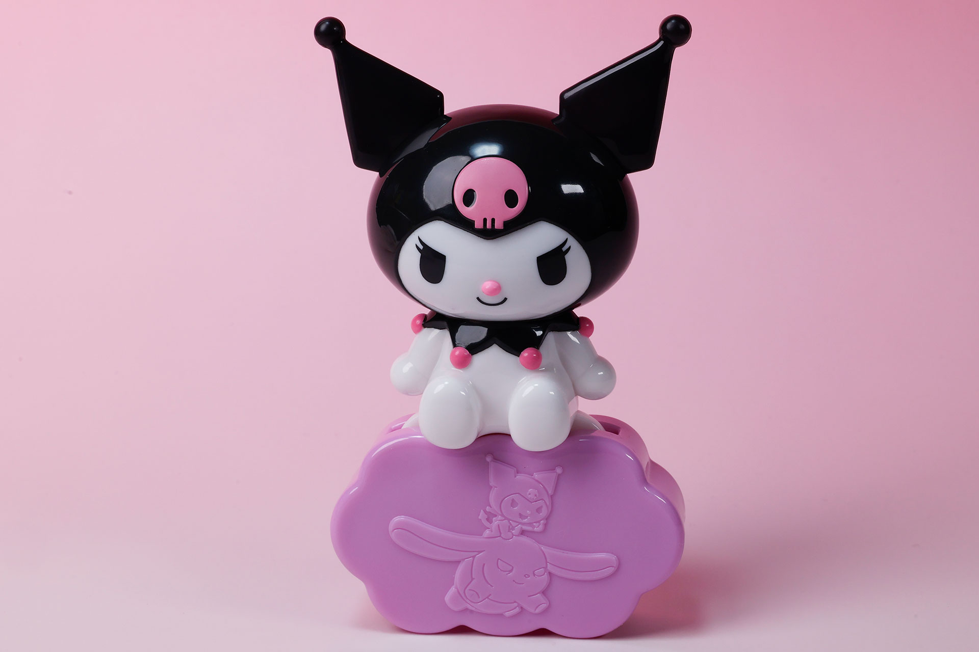 ケースと組み合わせたところ