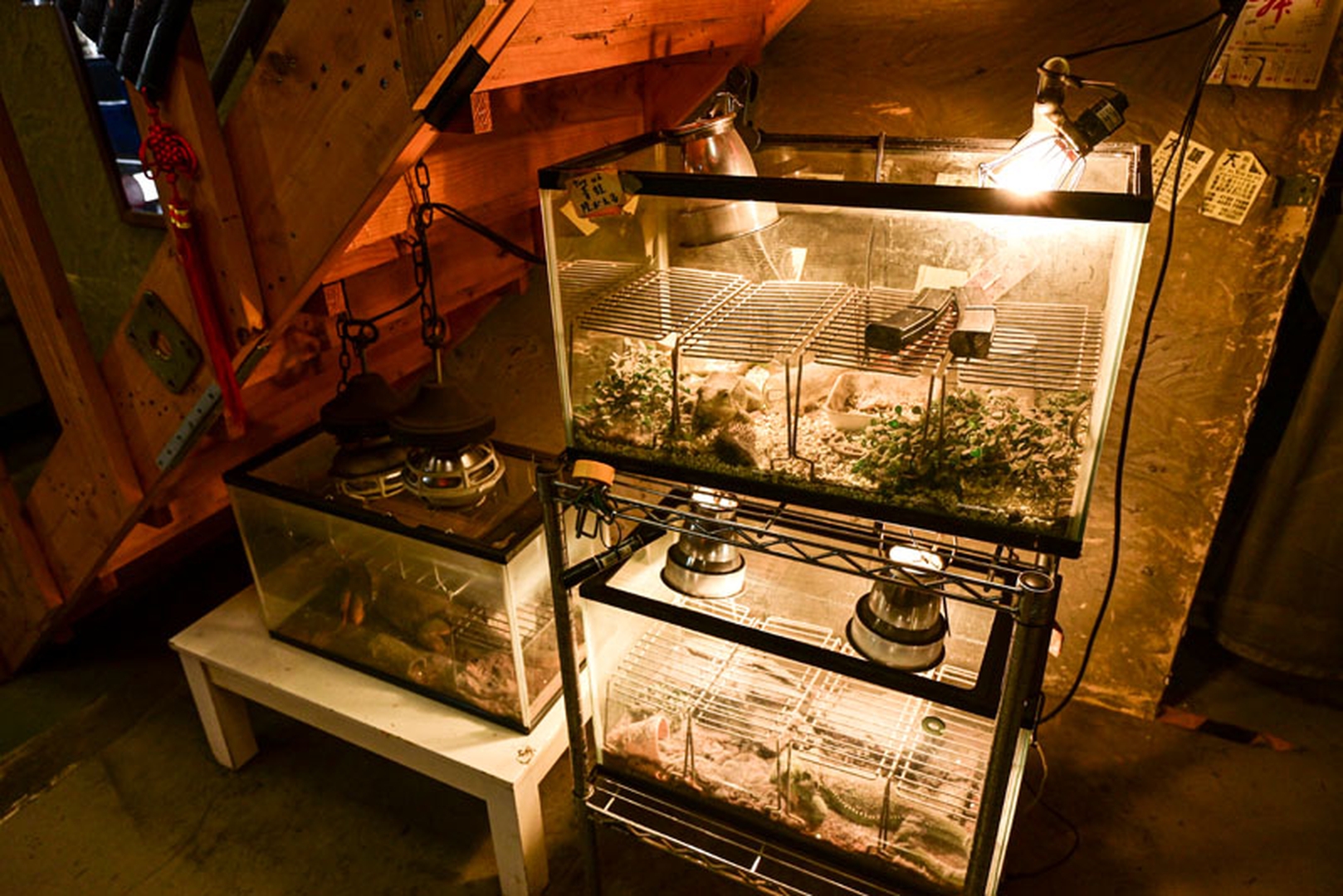 爬虫類が飼育されてる風のケースに見えるが、じつはこれもマガジンウォーマー。ライトの熱で温める仕様だ