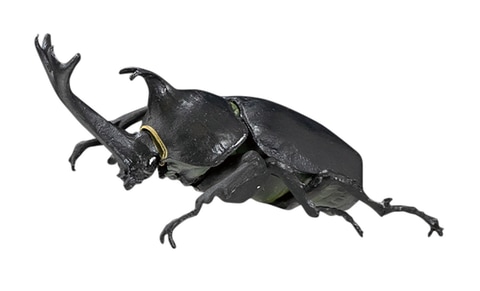 原寸大でリアルに再現されたカブトムシやクワガタが今年も登場！ 食玩