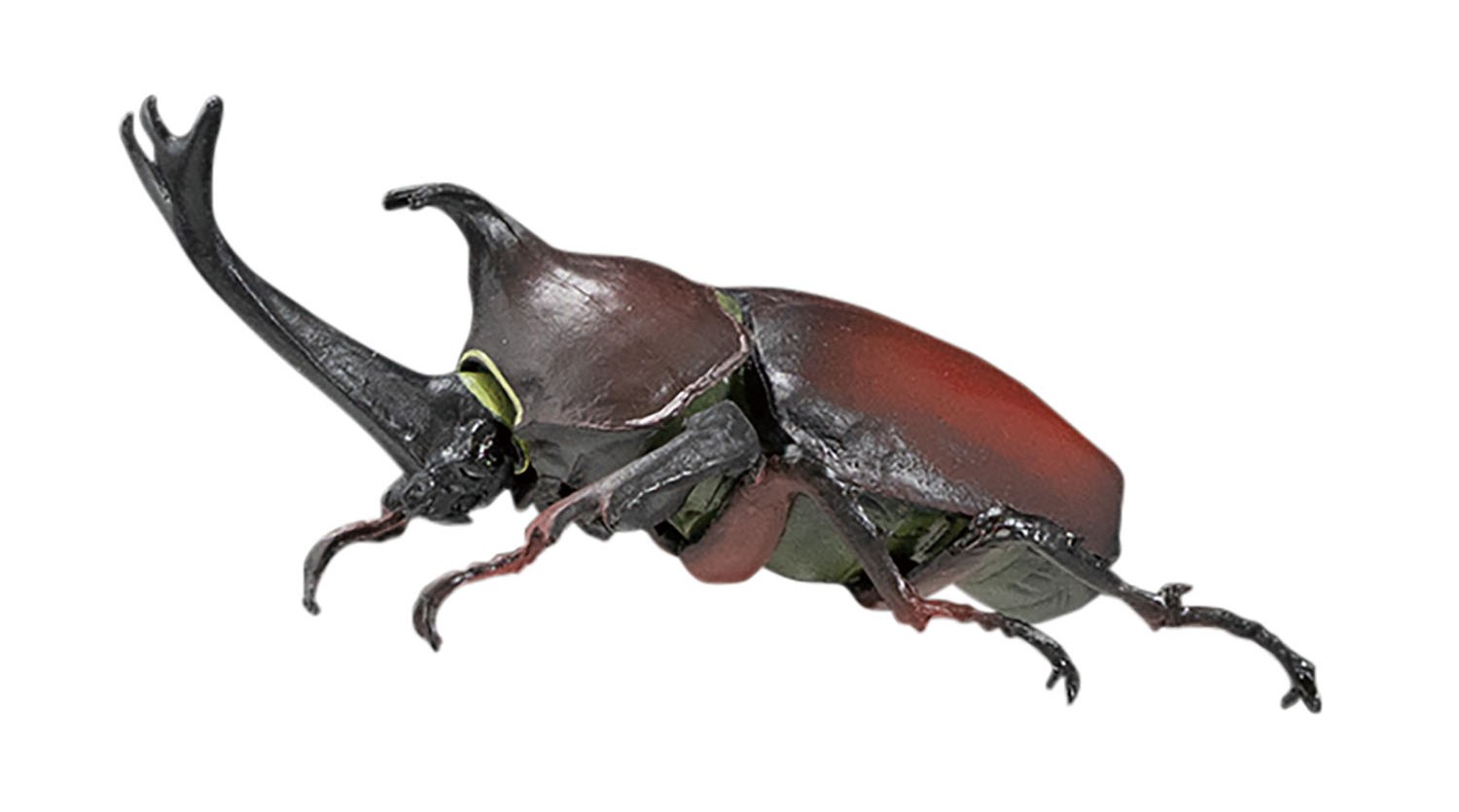 2．カブトムシ（赤）