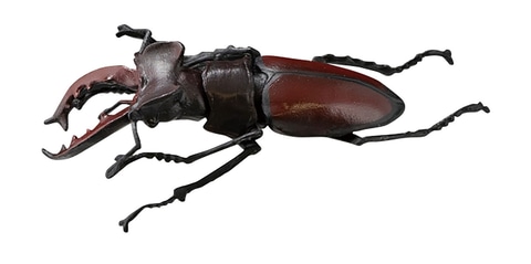 原寸大でリアルに再現されたカブトムシやクワガタが今年も登場！ 食玩