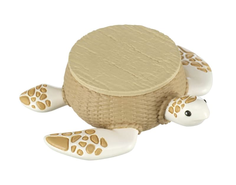 ウミガメラタン