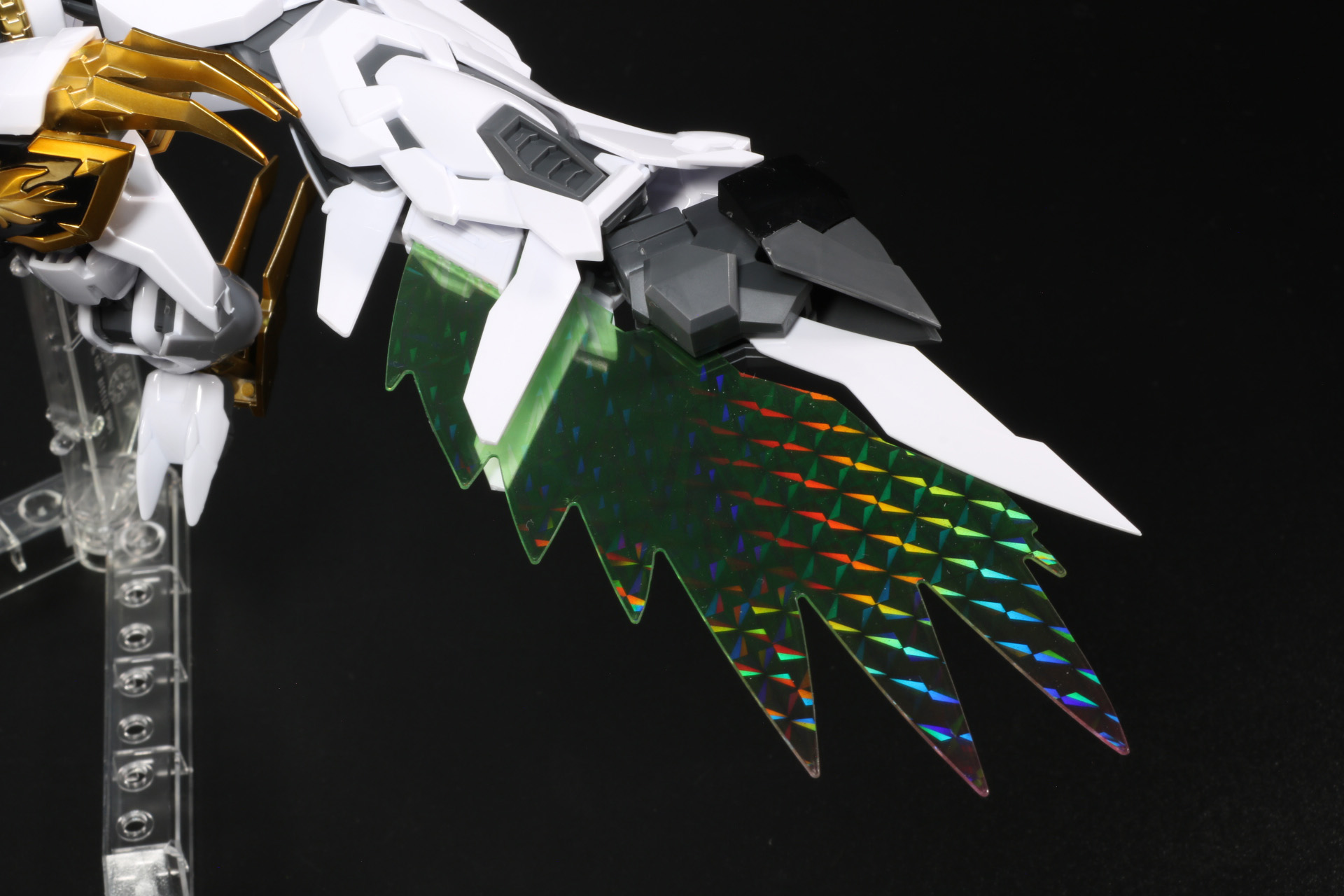 風を切り、大空を舞う姿