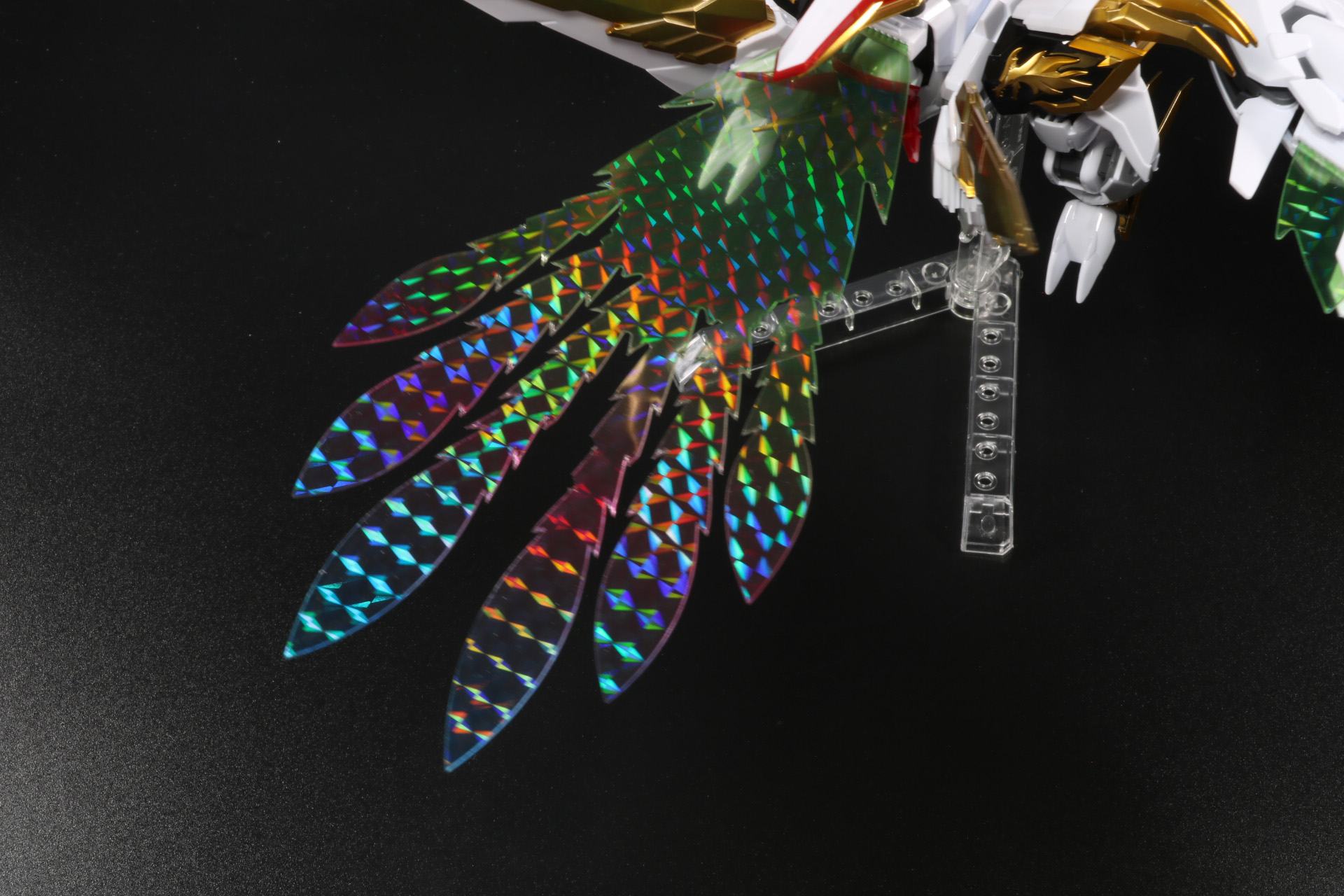 風を切り、大空を舞う姿