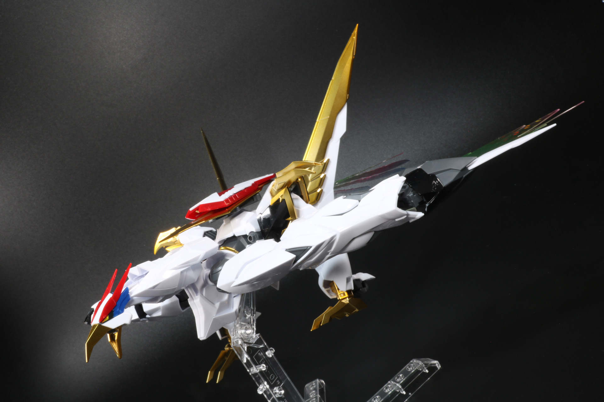 風を切り、大空を舞う姿