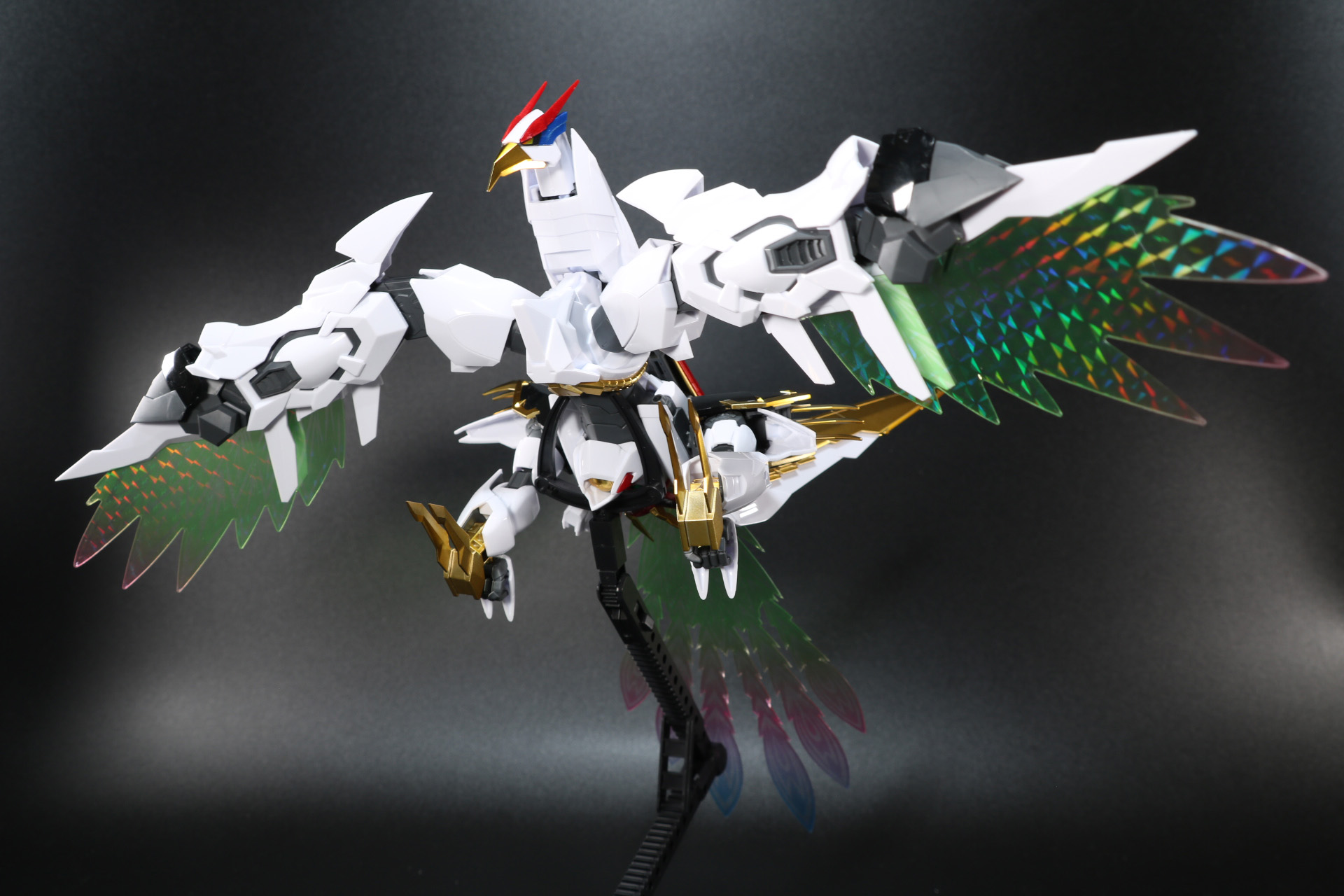 翼を広げ、滞空姿勢を取る