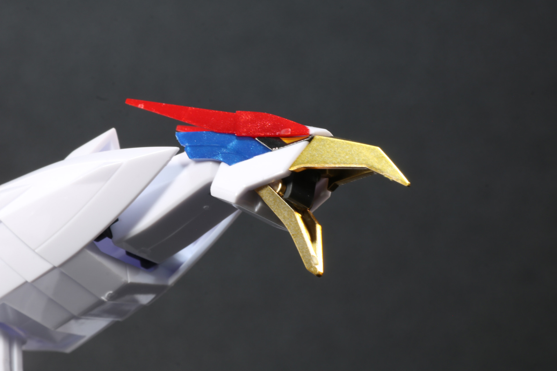 口は開閉ができる