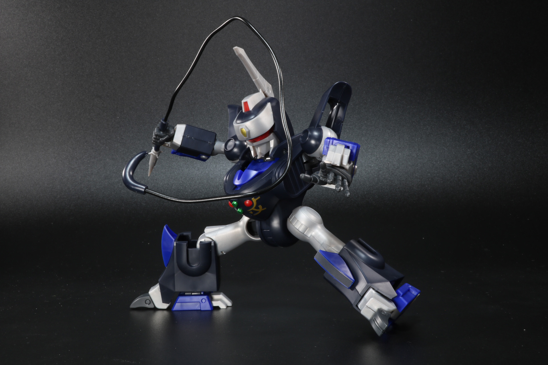 ムチを手に相手を翻弄