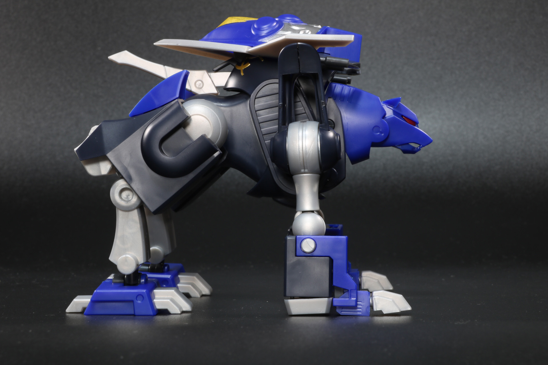 口は開閉が可能