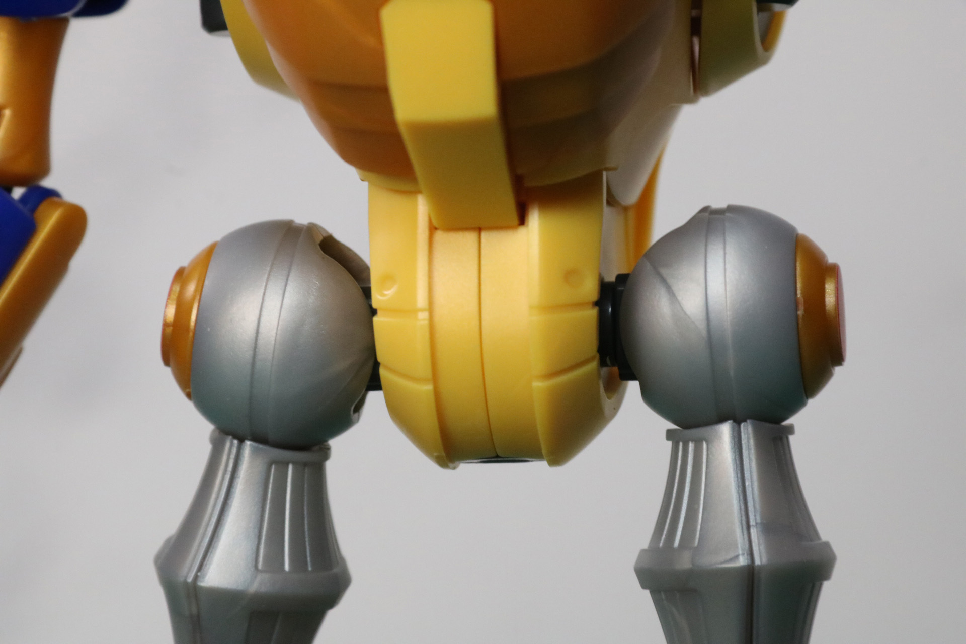 腹部の中央ラインにシールを貼る