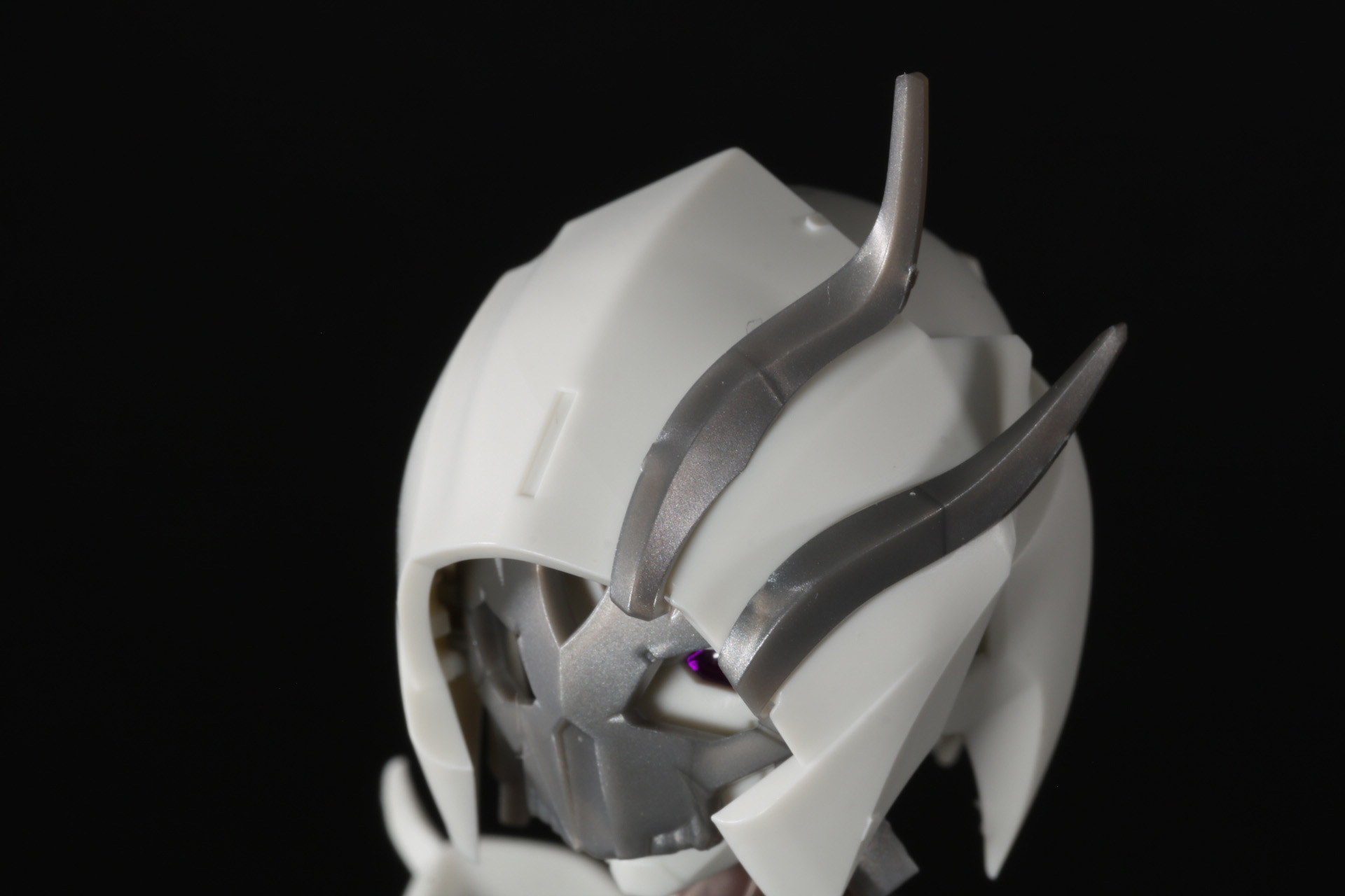 フードにはアクセサリで飾られている