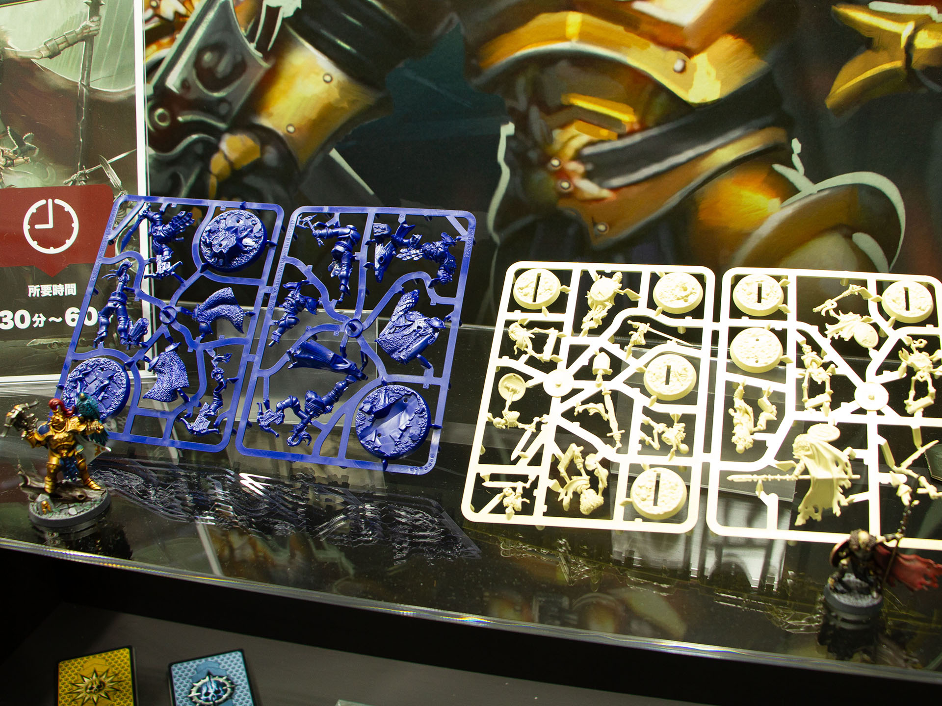 今回の展示の全容