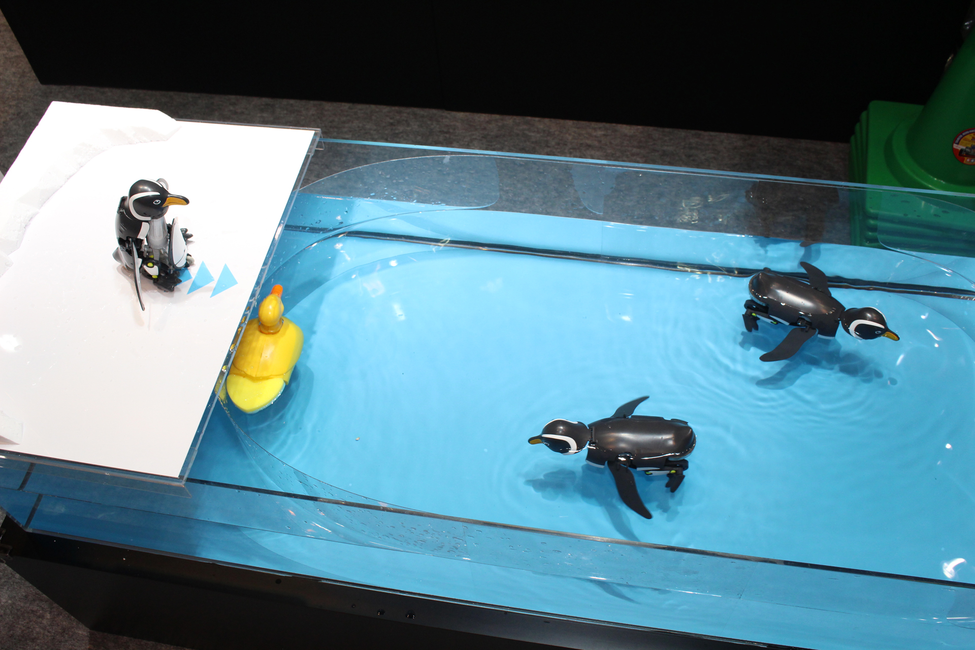 水面ではちゃんと頭を上げて泳ぐ様子が実に可愛い