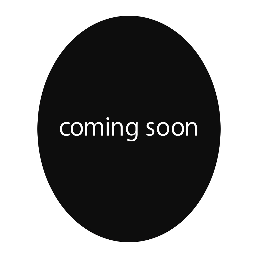 ラストワン賞 キャラクターⅮ MASTERLISE フィギュア