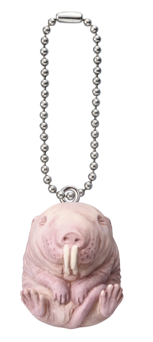 ハダカデバネズミ