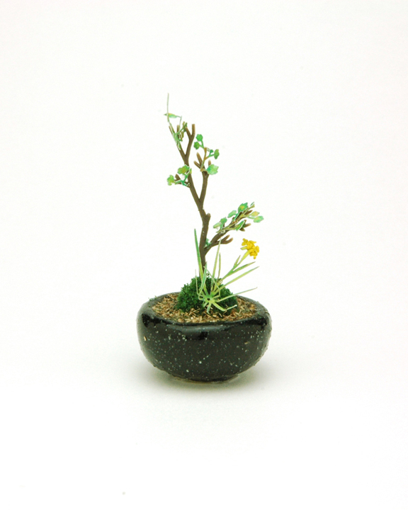 丸鉢寄せ植え【黒】 価格：1,980円