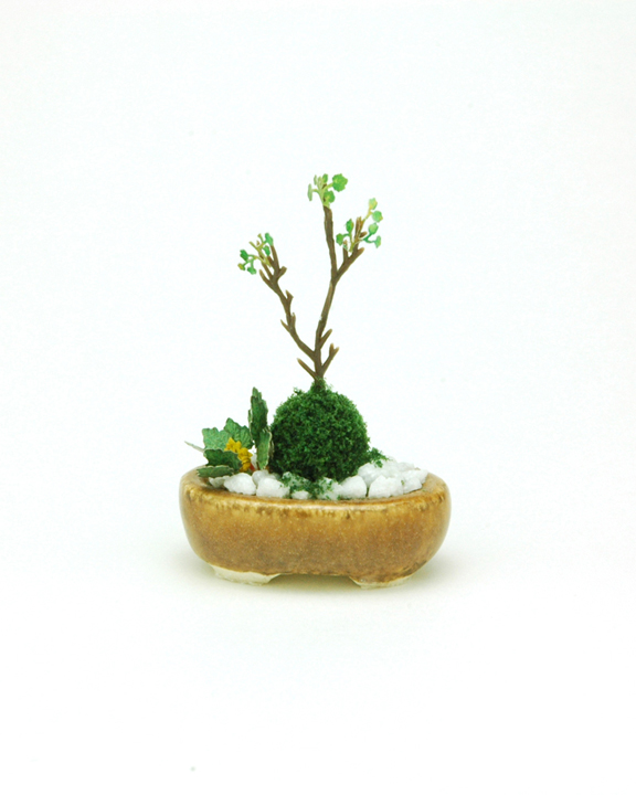 小判寄せ植え【茶】 価格：1,980円