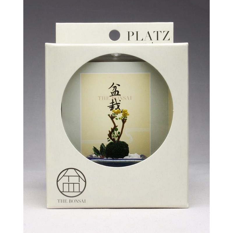 野草盆栽【紺角鉢】 価格：1,980円