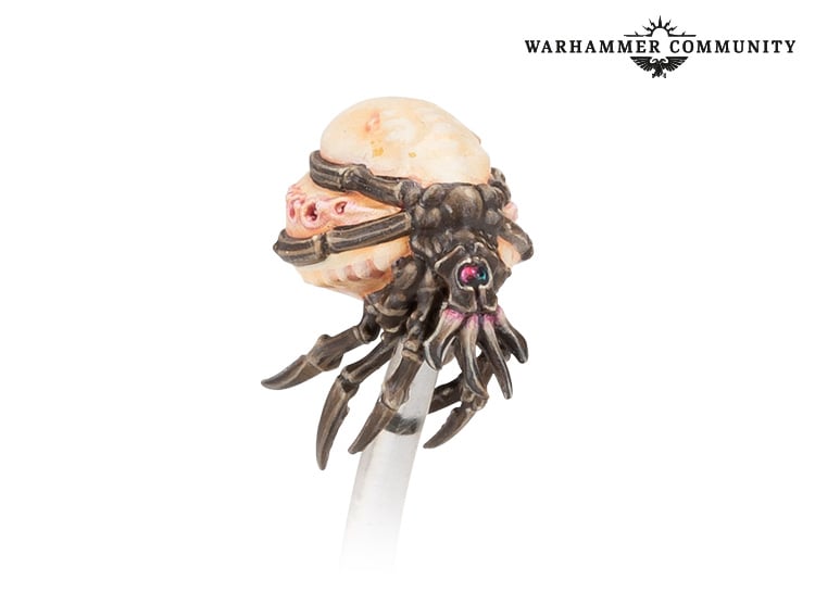 同じく名前を伏せて公開されたエイリアンのような生物。浮遊している