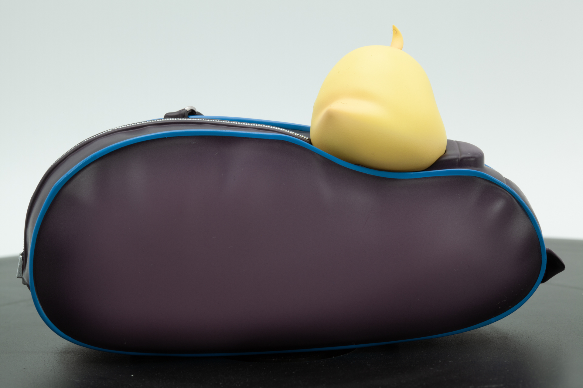 スポーツバッグの布の質感も素晴らしい