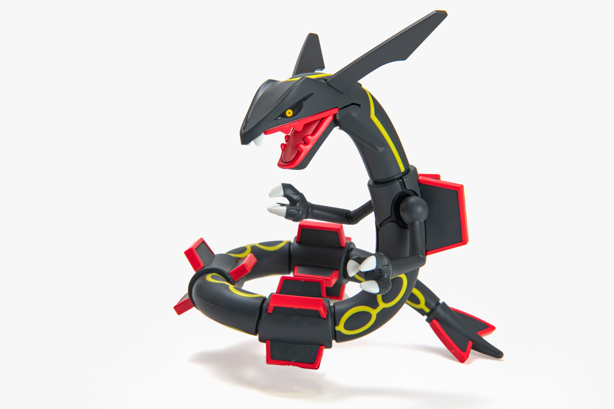 野生のレックウザが飛び出してきた時のポージング