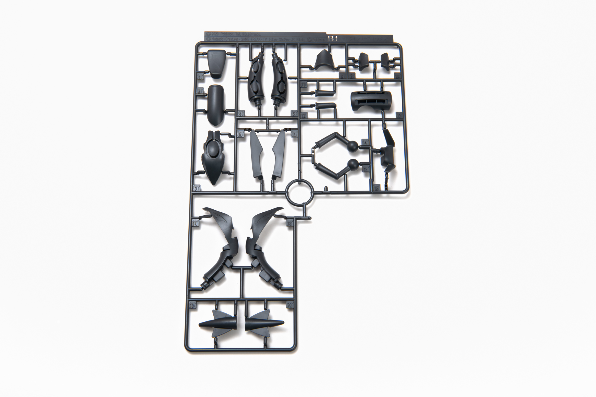 B1 頭と体の一部