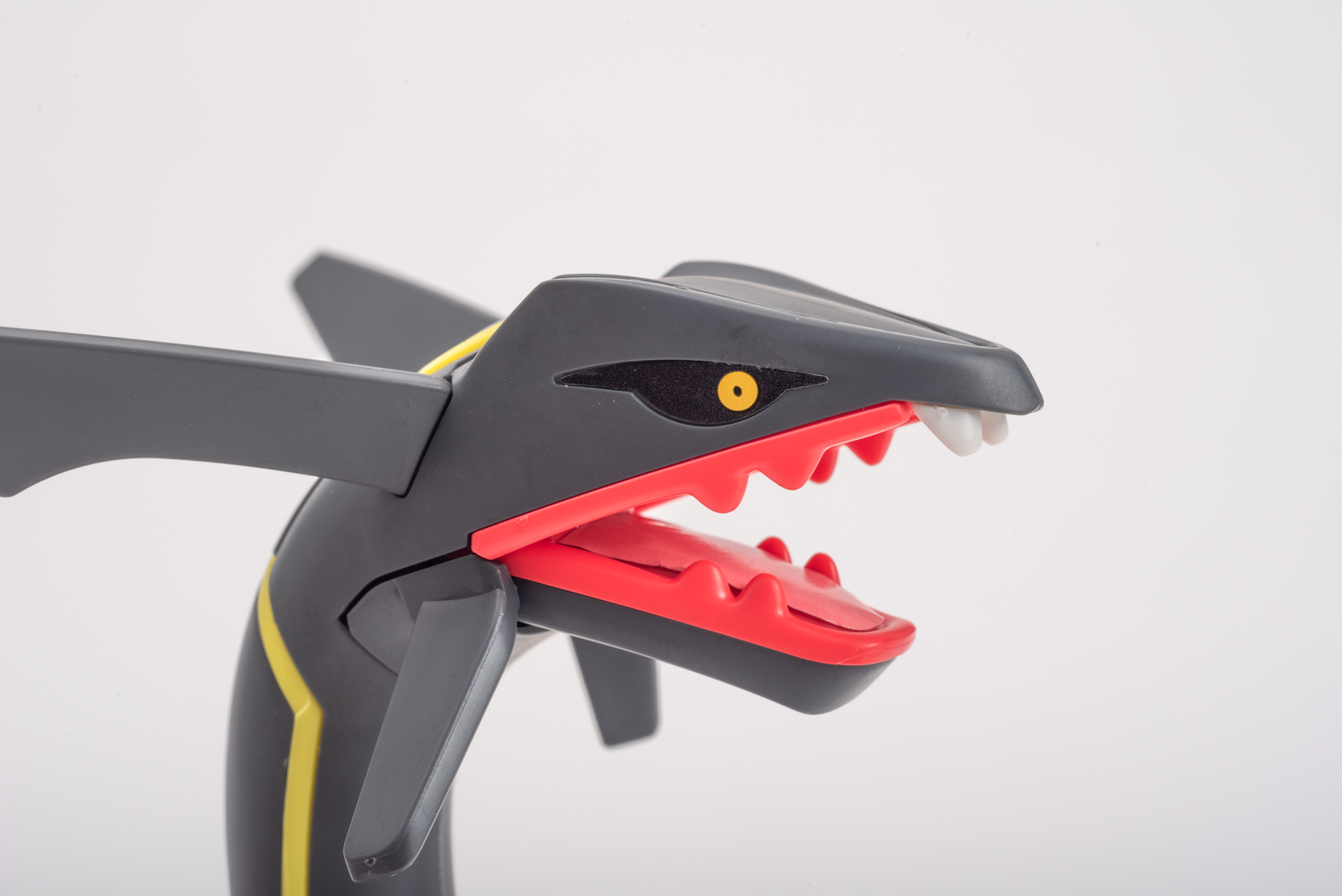 口は開閉が可能