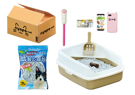 結局おもちゃよりダンボールなんだよなぁ