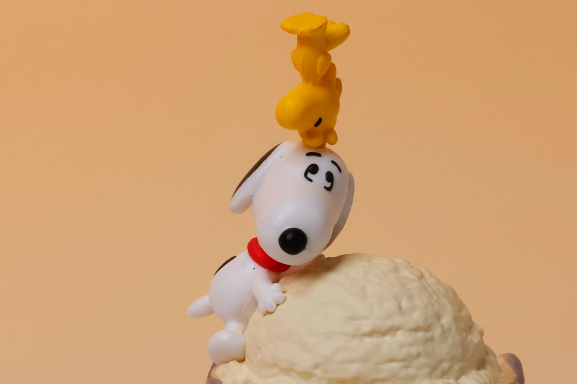 ちなみに、ウッドストックはスヌーピーに差し込む形で組み立てている