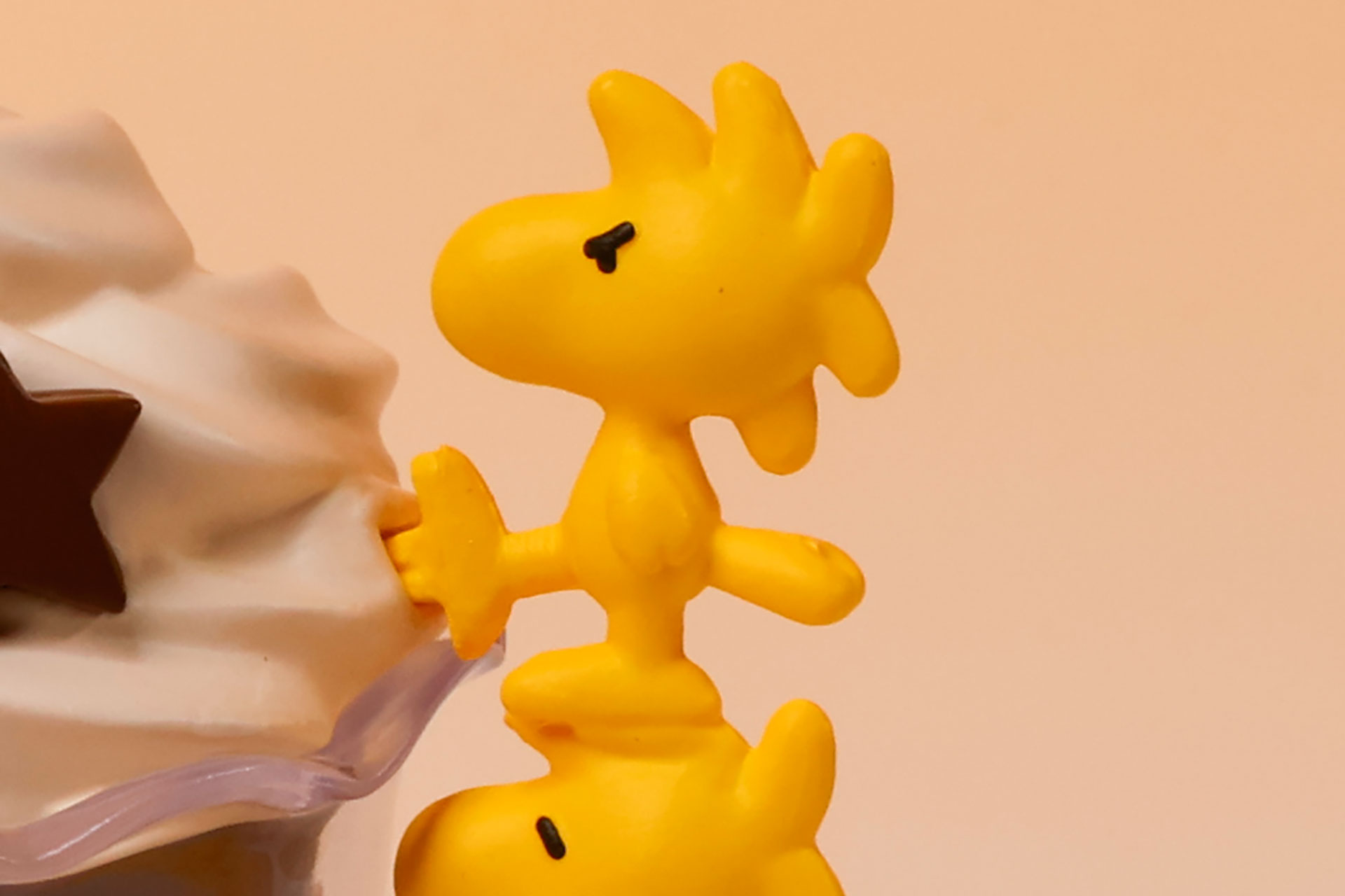 ウッドストックの表情も気合いが入っている