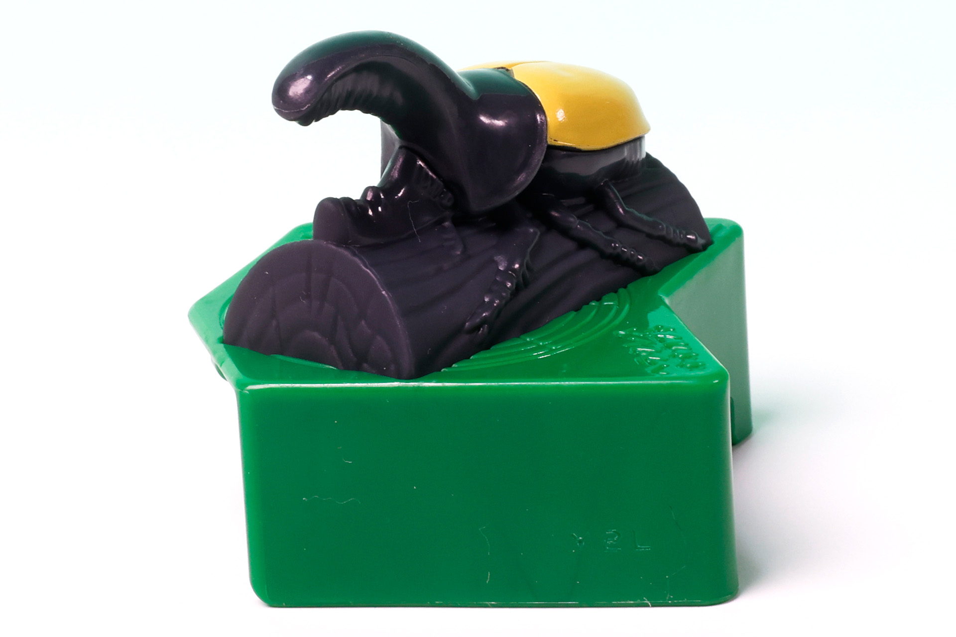 背中の黄色い部分もエキゾチックだ