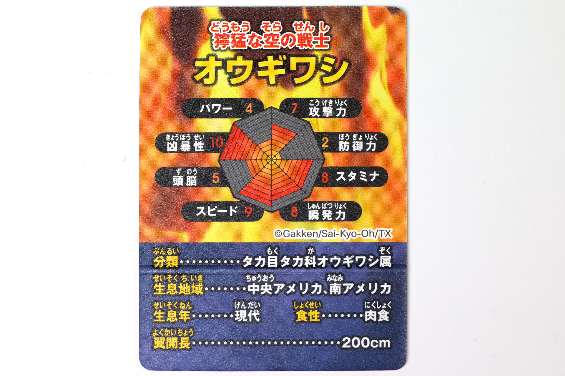 裏面には、オウギワシのステータスが書かれている