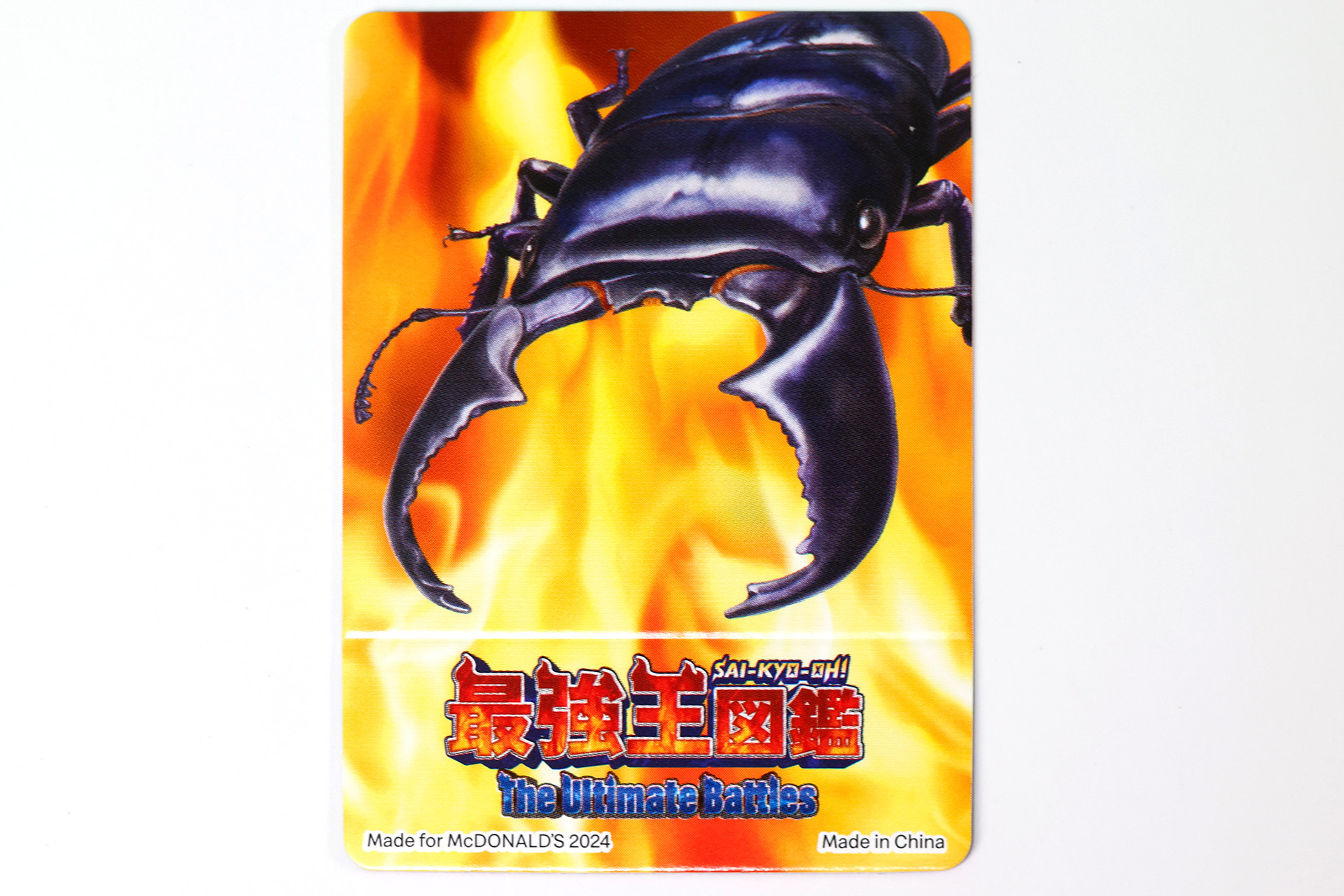 ライバルは強力なスマトラオオヒラタクワガタ！