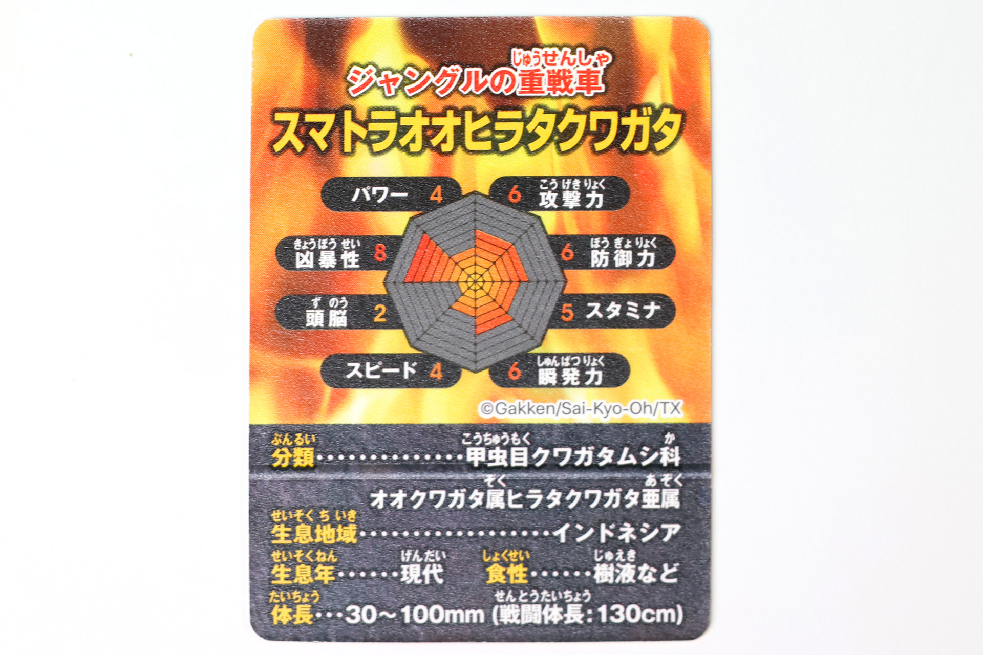 昆虫の中では最強の部類だ