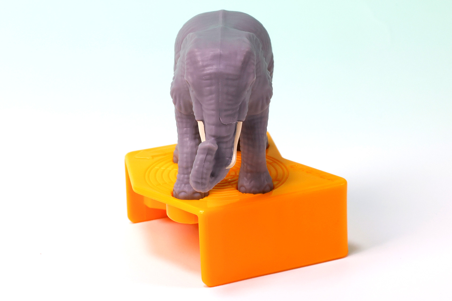 アフリカの生物は台座部分は黄色が採用されている