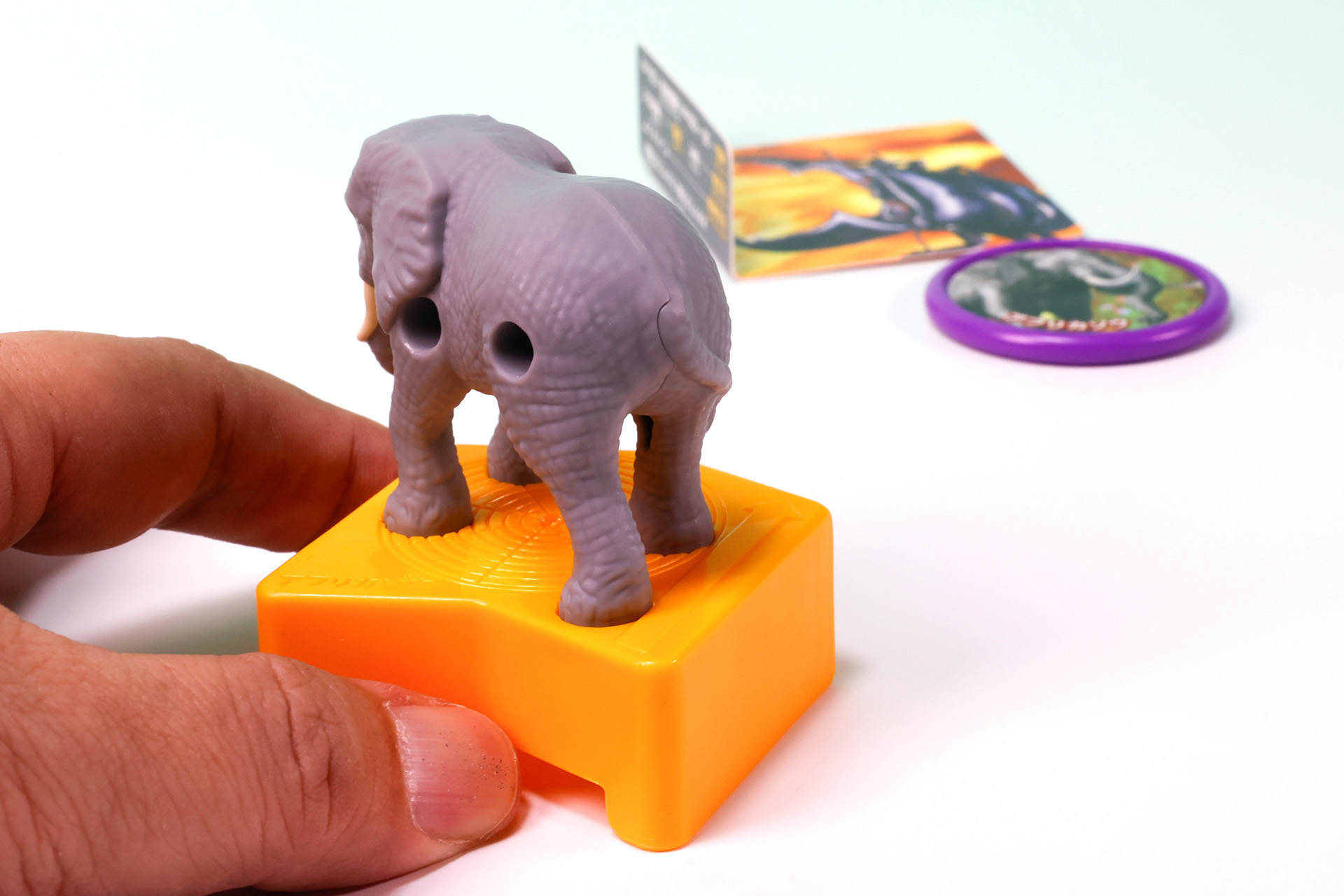 見事スマトラオオヒラタクワガタを撃破！