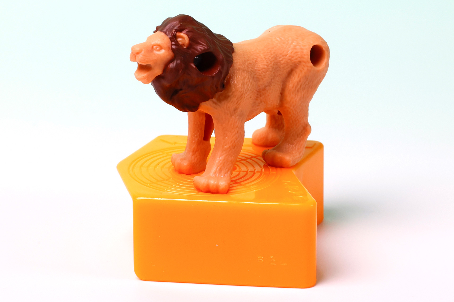 敵を威嚇しているような姿をしている