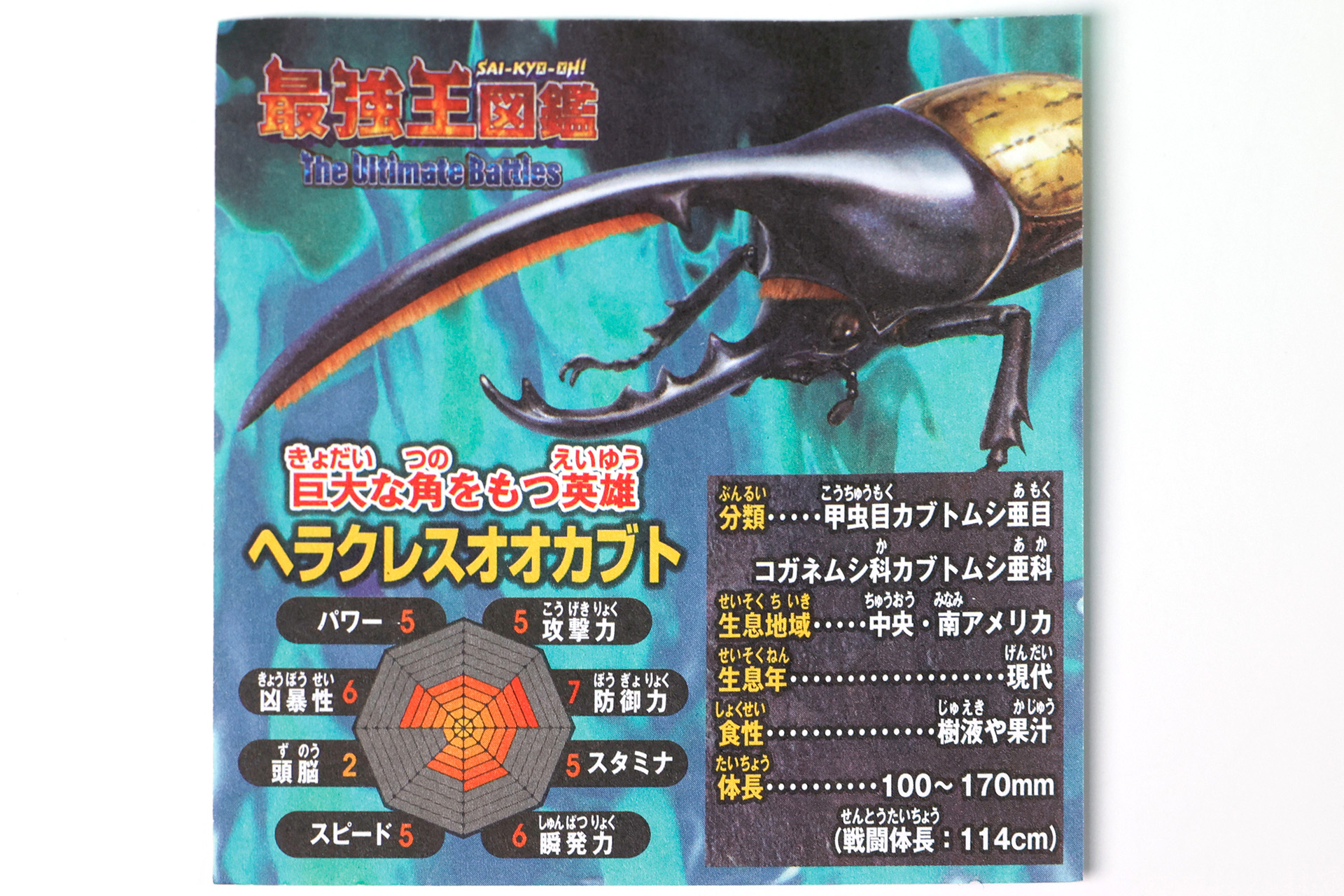 カードに描かれているイラストも本格的だ