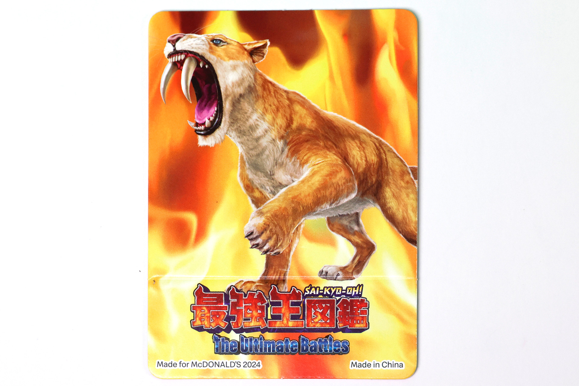 こうした過去の生き物たちを、実際に間近で見るとどんな感じなのか想像するのも楽しい