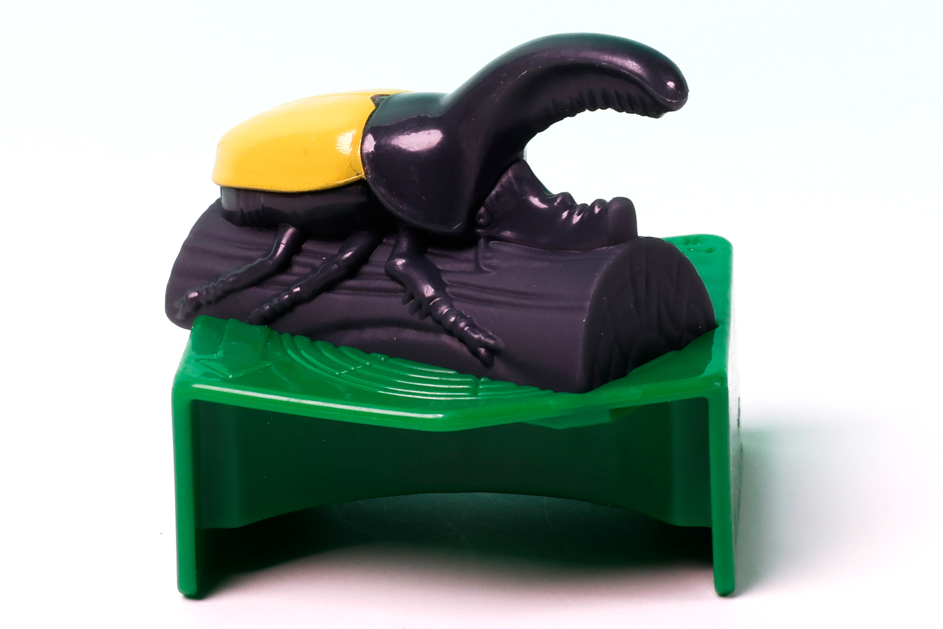 木の上にどっしりと構えている