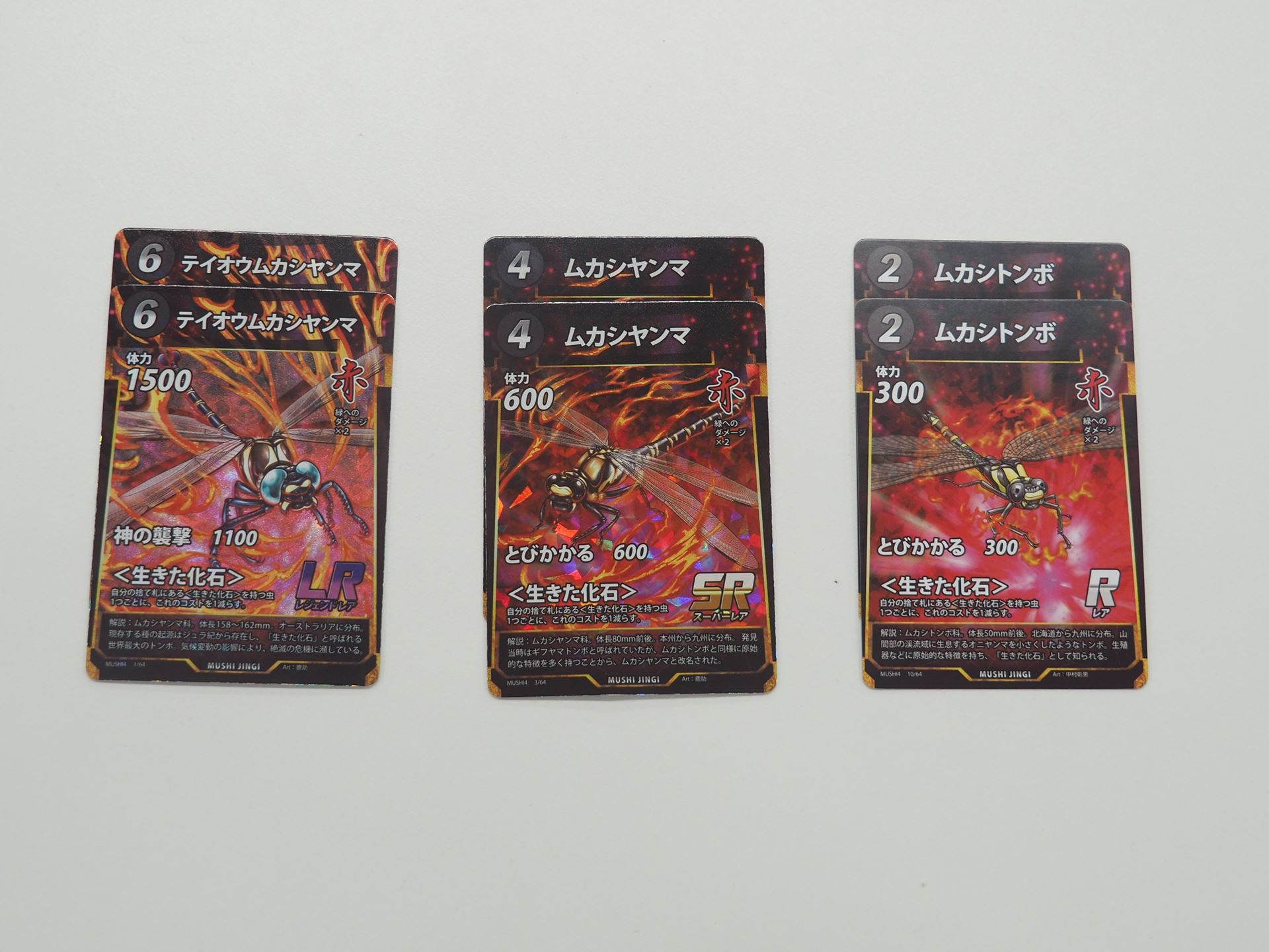 まず＜生きた化石＞セットを試してみた