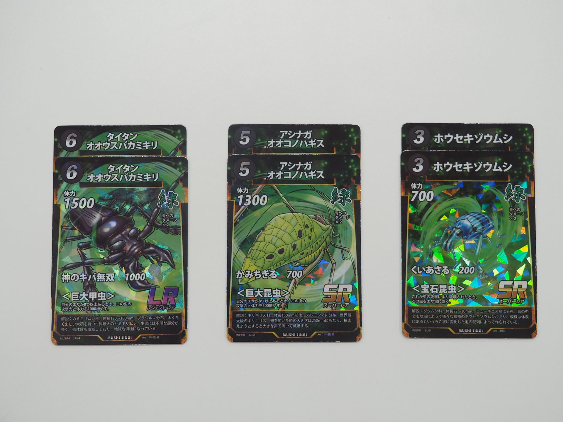 次に＜生きた化石＞セットを試してみた