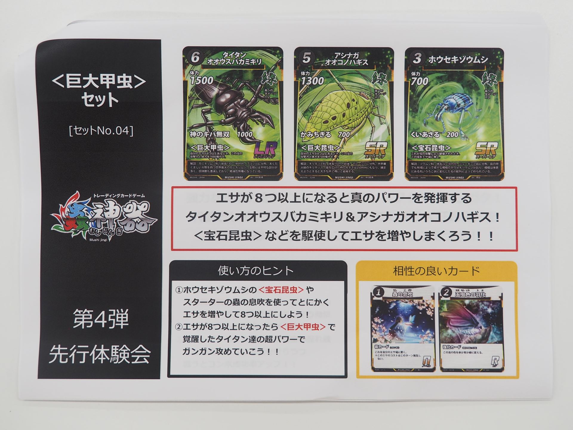 ＜巨大甲虫＞セットの説明書