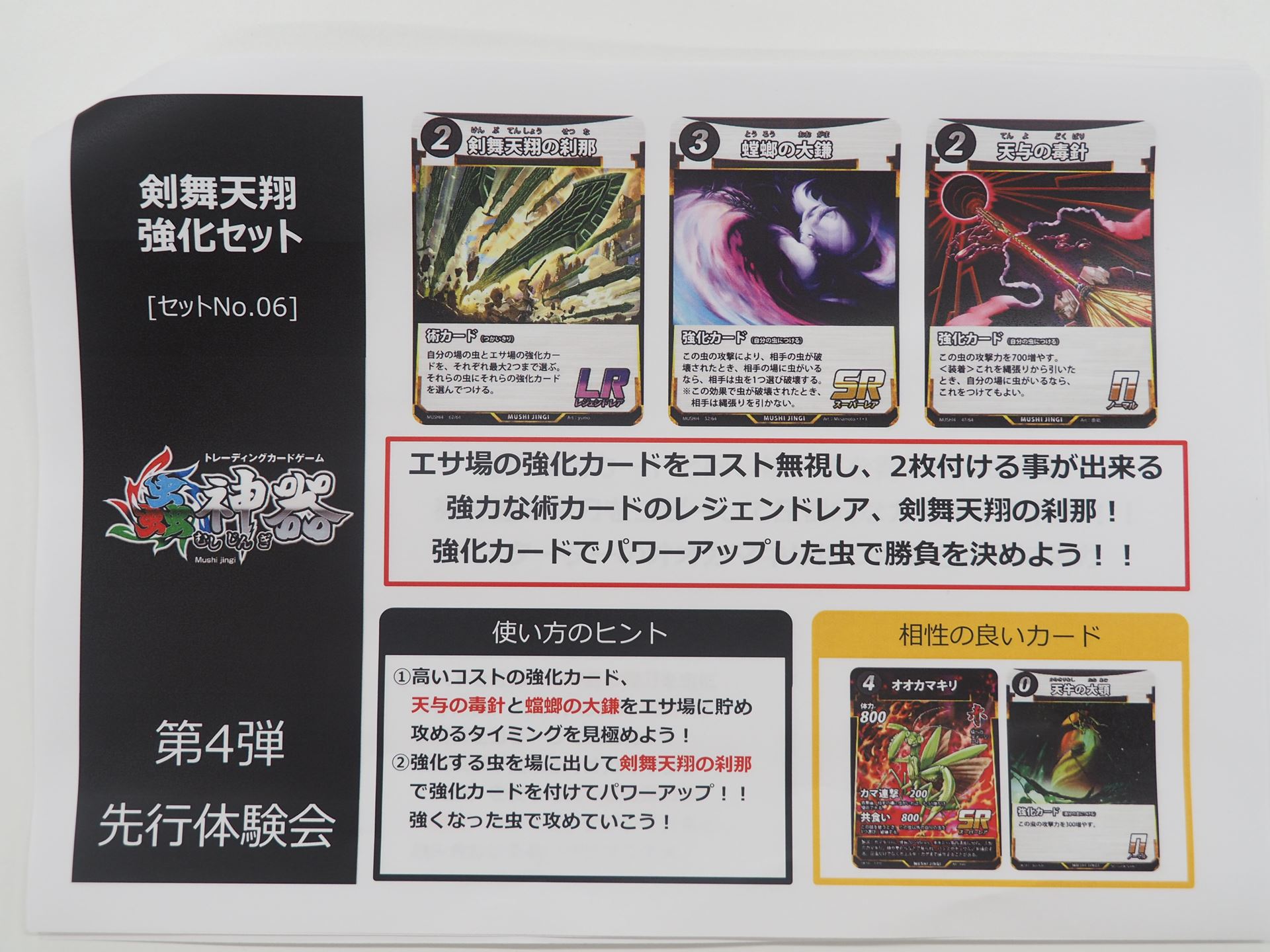 剣舞天翔強化セットの説明書